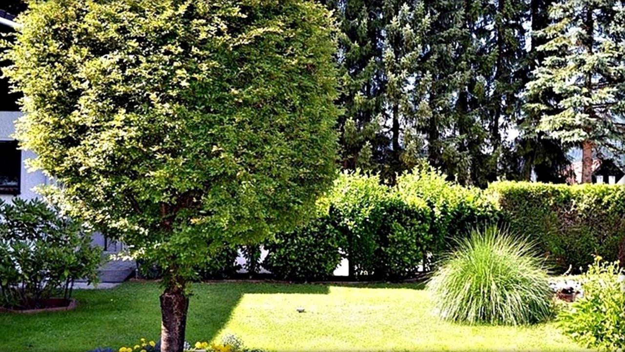 Ferienwohnung Neuhuber Bad Goisern Esterno foto